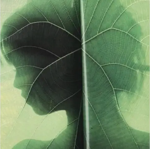 Un visage derrière une feuille translucide